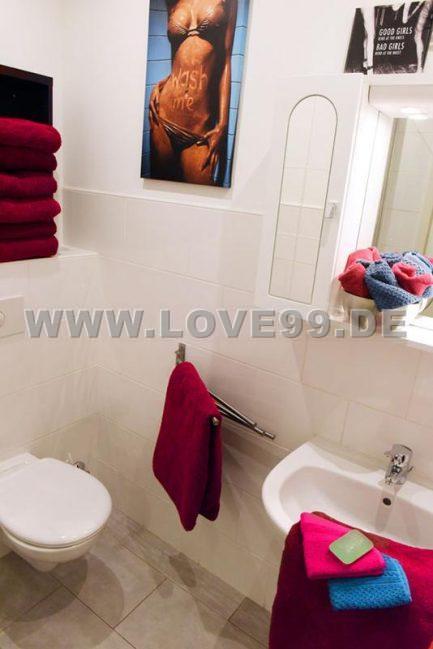 Exklusive Wohnungen zu vermieten13-8cbbcd16