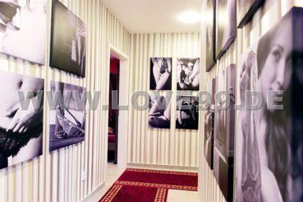 Exklusive Wohnungen zu vermieten9-f5ed6549